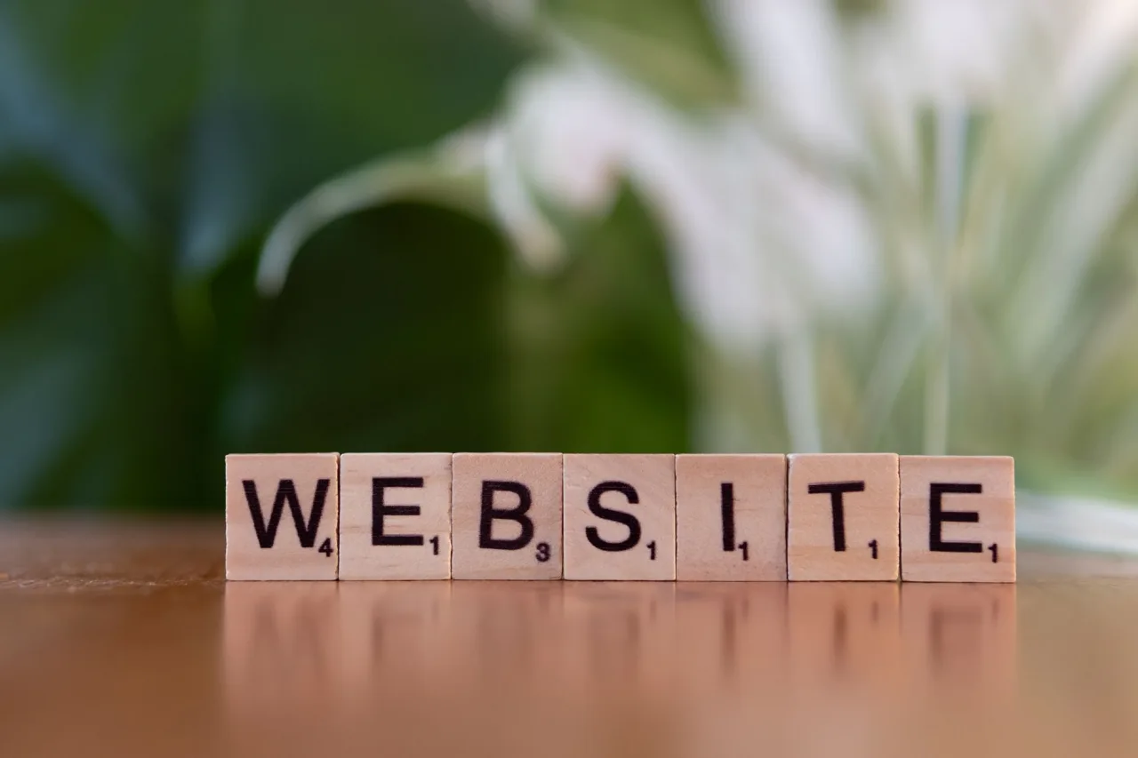 Check Website Backlinks
