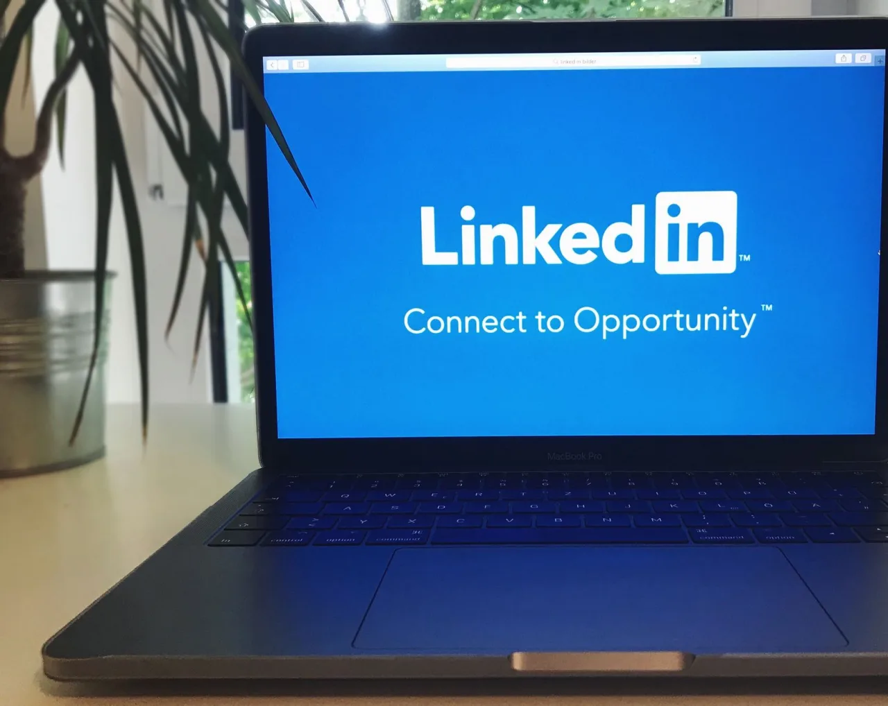 Networking Marketing: A Guide