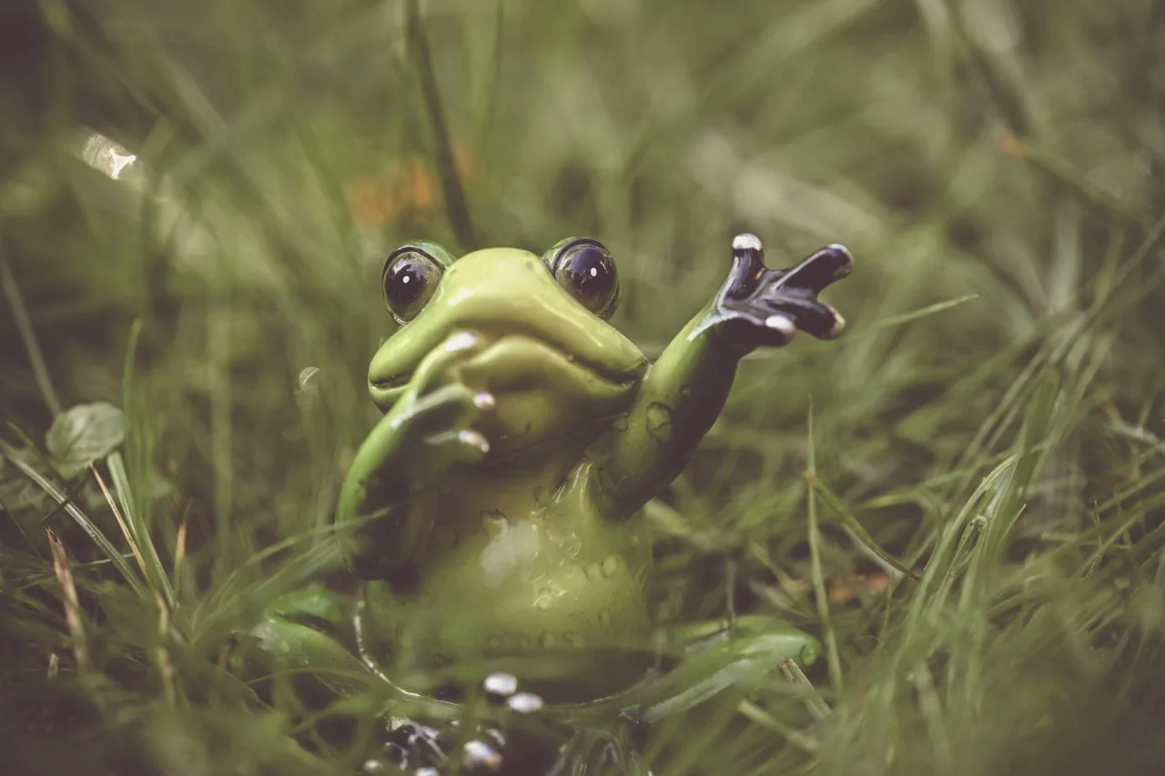 Screaming Frog SEO Spider Review