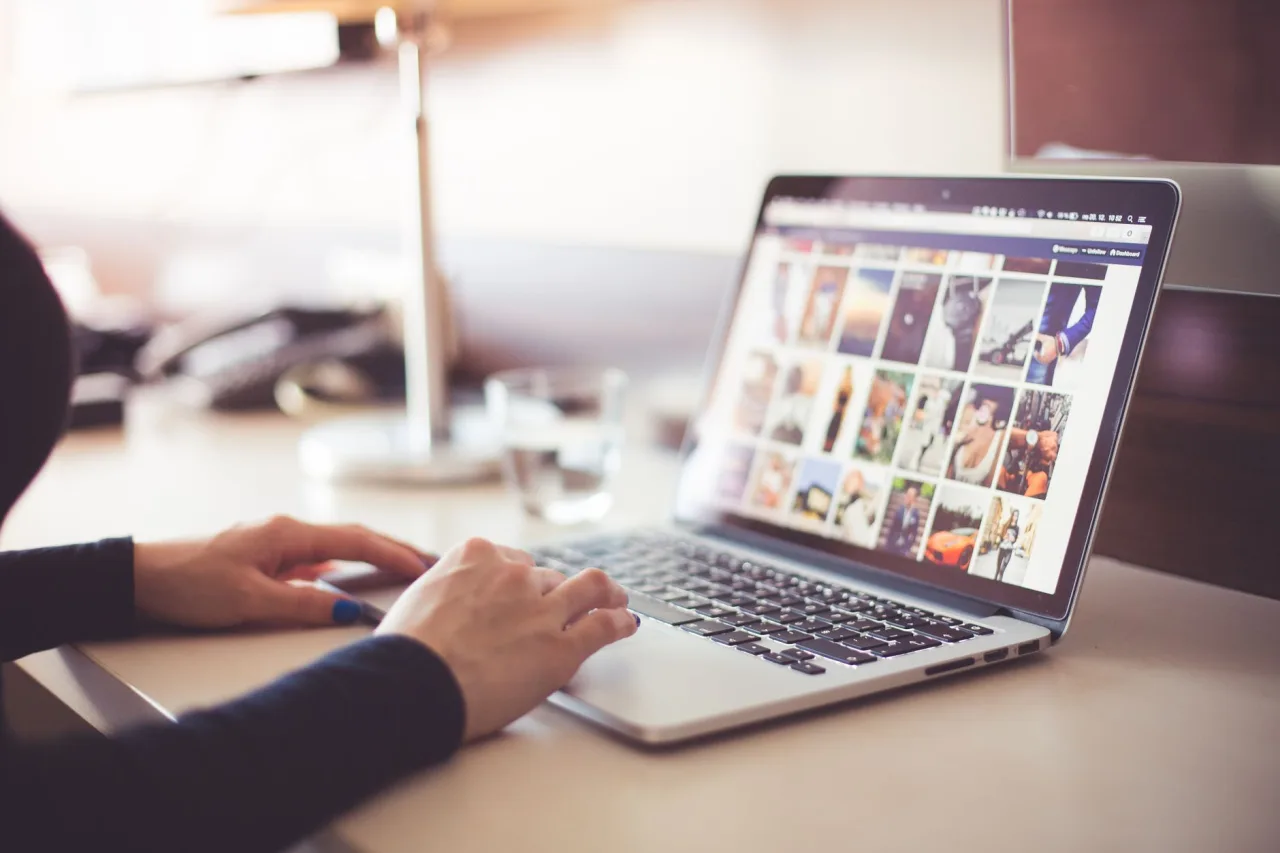 Search Back Links: Complete Guide